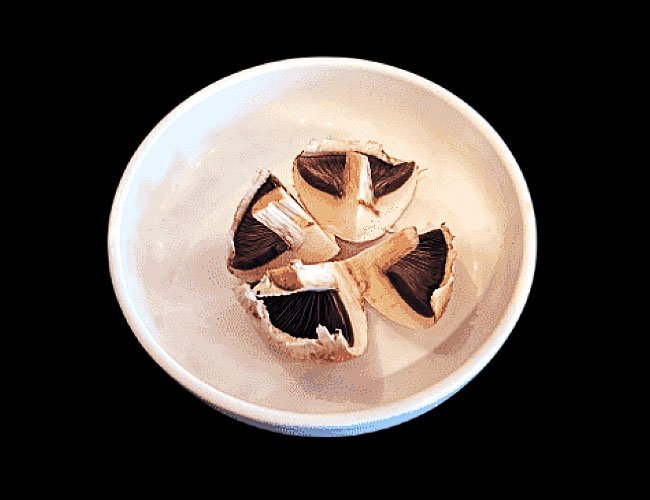 mushroom