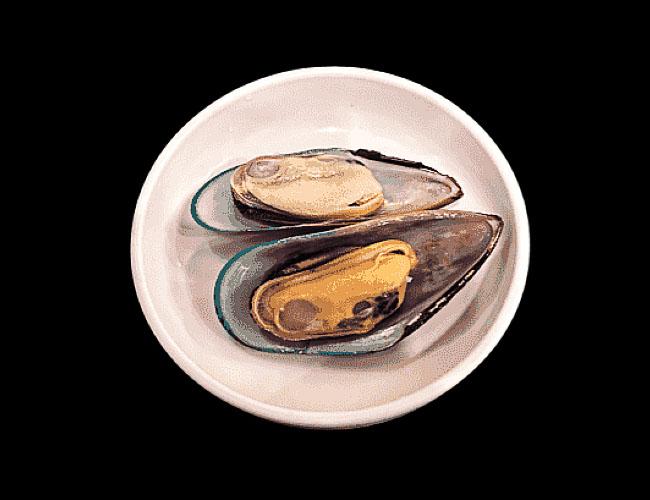 mussel